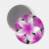 ピンクフランギパニ マグネット (正面/裏面)