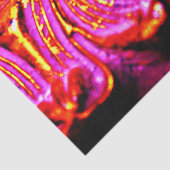 ピンクフレーム 薄葉紙 (詳細)