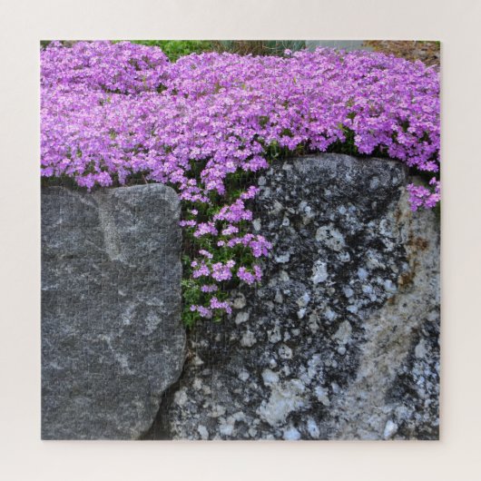 ピンクフロックスオン大きい石 ジグソーパズル (縦)