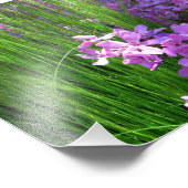 ピンクフロックス&グラスサマーフローラ フォトプリント (角)