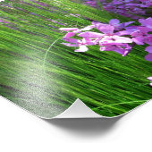 ピンクフロックス&グラスサマーフローラ フォトプリント (角)