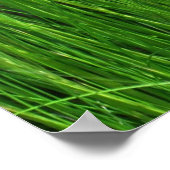 ピンクフロックス&グラスサマーフローラ ポスター (角)