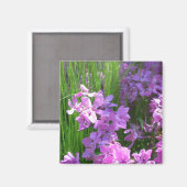 ピンクフロックス&グラスサマーフローラ マグネット (正面/裏面)