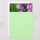 ピンクフロックス&グラスサマーフローラ 便箋 (正面/裏面)