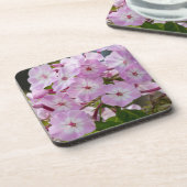 ピンクフロックス コースター (左側)