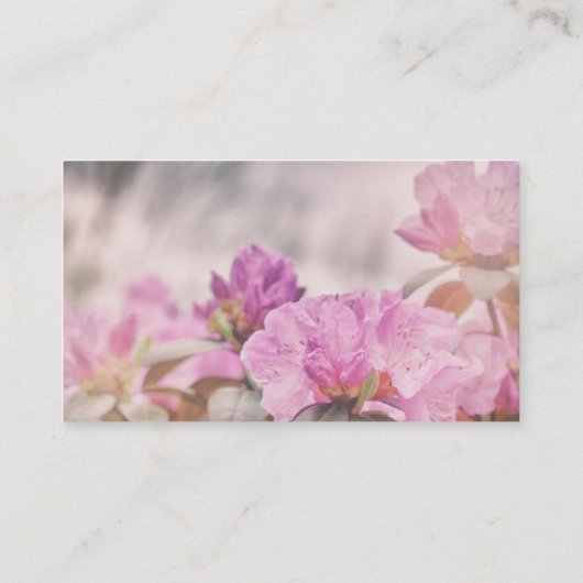 ピンクフロレットフローラサマー開花 名刺 (裏面)