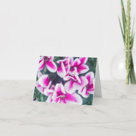 ピンクフローラシクラメン写真ノテカード カード
