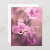 ピンクフローラスクラップブックエフェメラ (正面/裏面)