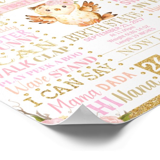 ピンクフローラフクロウ1stバースデーマイルストーン誕生統計 ポスター (角)