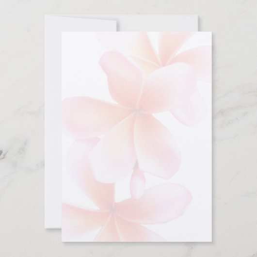 ピンクフローラブライダルシャワー熱帯プルメリア 招待状 (裏面)