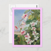 ピンクフローラ春パーティーシャワーピースラブデスティニー ポストカード (正面/裏面)