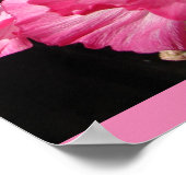 ピンクフローラ花自然コテージガーデンポスター ポスター (角)