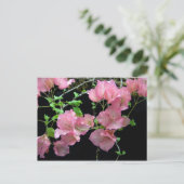 ピンクブガンヴィラクラスタ ポストカード (スタンド正面)