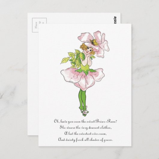 ピンクブライアルバラフラワーフローラおもしろいかわいい女の子 ポストカード (正面/裏面)