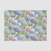 ピンクブルーアジサイ開花花柄