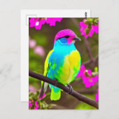 ピンクブルーイエローグリーンファンタジーバードポストカード ポストカード (正面/裏面)