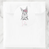 ピンクブルーブンニースジェンダーがラウンドスクラシックスティックを明らかにする ラウンドシール (バッグ)