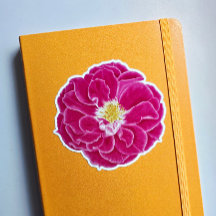 ピンクブルーミングバラボタニカルアートシール