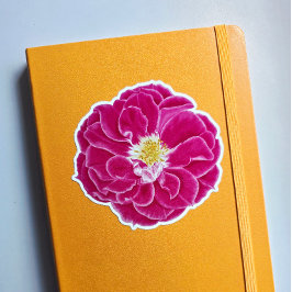 ピンクブルーミングバラボタニカルアートシール シール