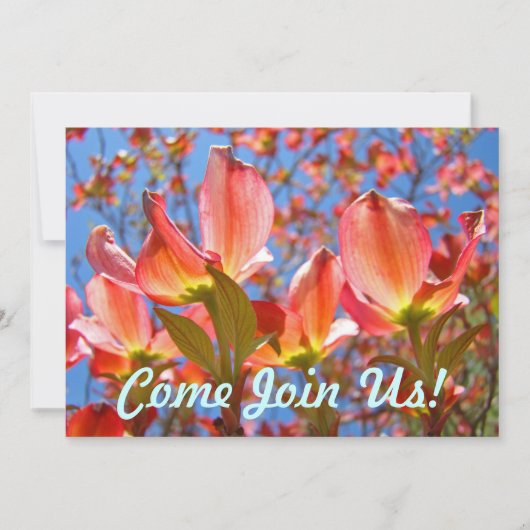 ピンクブルー招待状ドッグウッドツリーフラワーズフローラ 招待状 (正面)