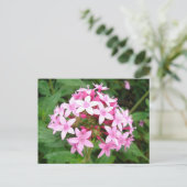 ピンクブーケ ポストカード (スタンド正面)