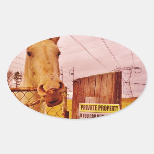 ピンクプライベートプロパティホース 楕円形シール (正面)