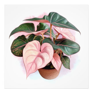 ピンクプリンセスフィロデンロンポット フォトプリント           