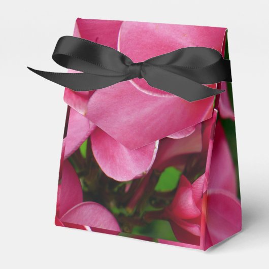 ピンクプルメリアの花の写真 フェイバーボックス (正面サイド)