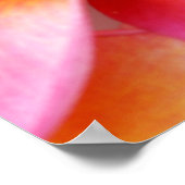 ピンクプルメリアフランギパニハワイ花ハワイアン ポスター (角)