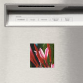 ピンクプルメリア磁石 マグネット (インサイチュ (食洗機))