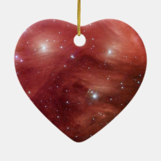 ピンクプレアデス赤外線SSC2007 07b セラミックオーナメント (裏面)