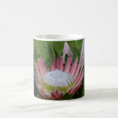 ピンクプロテアの花 コーヒーマグカップ (中央)