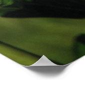 ピンクプロミットハイブリッドティーバラ132 ポスター (角)