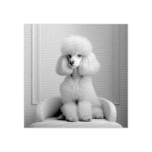 ピンクプードルゴム印 ラバースタンプ (インプリント)