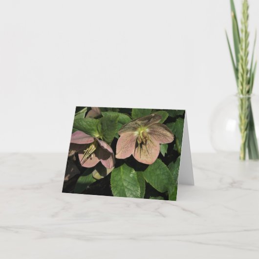 ピンクヘレボア ノートカード (正面)