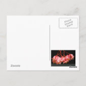 ピンクベゴニアエンジェルウィングフラワーズ ポストカード (裏面)