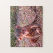 ピンクベビーサル ジグソーパズル (縦)