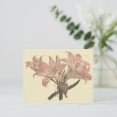 ピンクベラドンナ・ユリの植物画 ポストカード (スタンド正面)