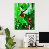 ピンクベルベットバナナツリートロピカルガーデンコレクション ポスター (ホームオフィス)