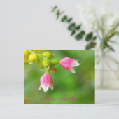 ピンクベル シーズンポストカード (スタンド正面)