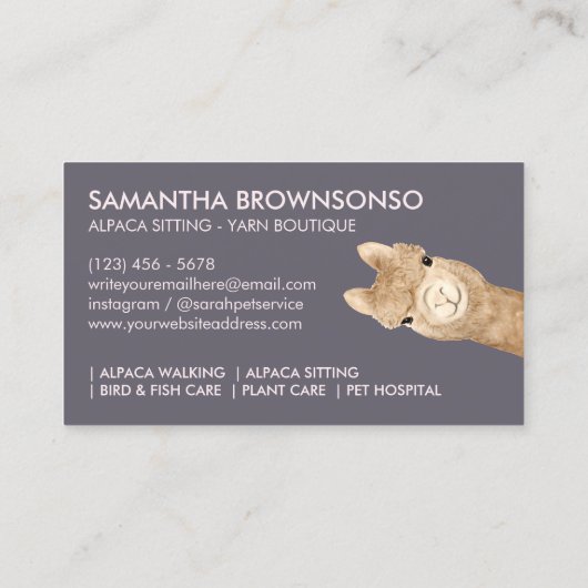 ピンクベージュカワイアルパカ 名刺 (裏面)
