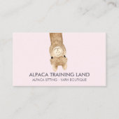 ピンクベージュカワイアルパカ 名刺 (正面)