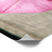 ピンクペチュニア ポスター (角)