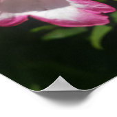 ピンクペンステモンフローラフラワーガーデンポスター ポスター (角)