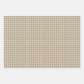 ピンクホワイトグリーンプレイドストライプ誕生日 ラッピングペーパーシート (正面2)