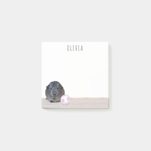 ピンクホワイトサッカーボールギニアピグ新学期 ポストイット (正面)