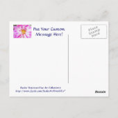 ピンクホワイトダリアフラワーポストカードフローラガーデン ポストカード (裏面)