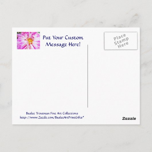 ピンクホワイトダリアフラワーポストカードフローラガーデン ポストカード (裏面)