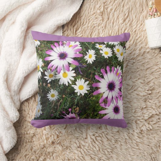 ピンクホワイトデイジーデイジーフラワーフローラクッション クッション (ブランケット)