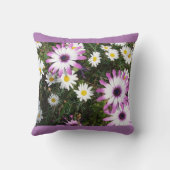 ピンクホワイトデイジーデイジーフラワーフローラクッション クッション (裏面)